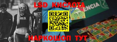 шишки Дмитров