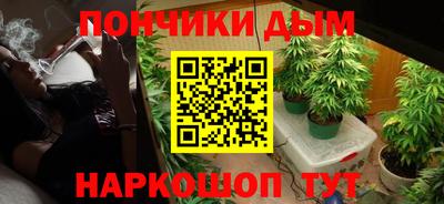 шишки Дмитров