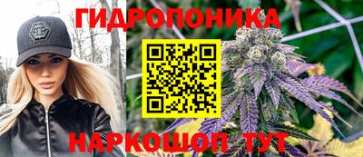 шишки Дмитров