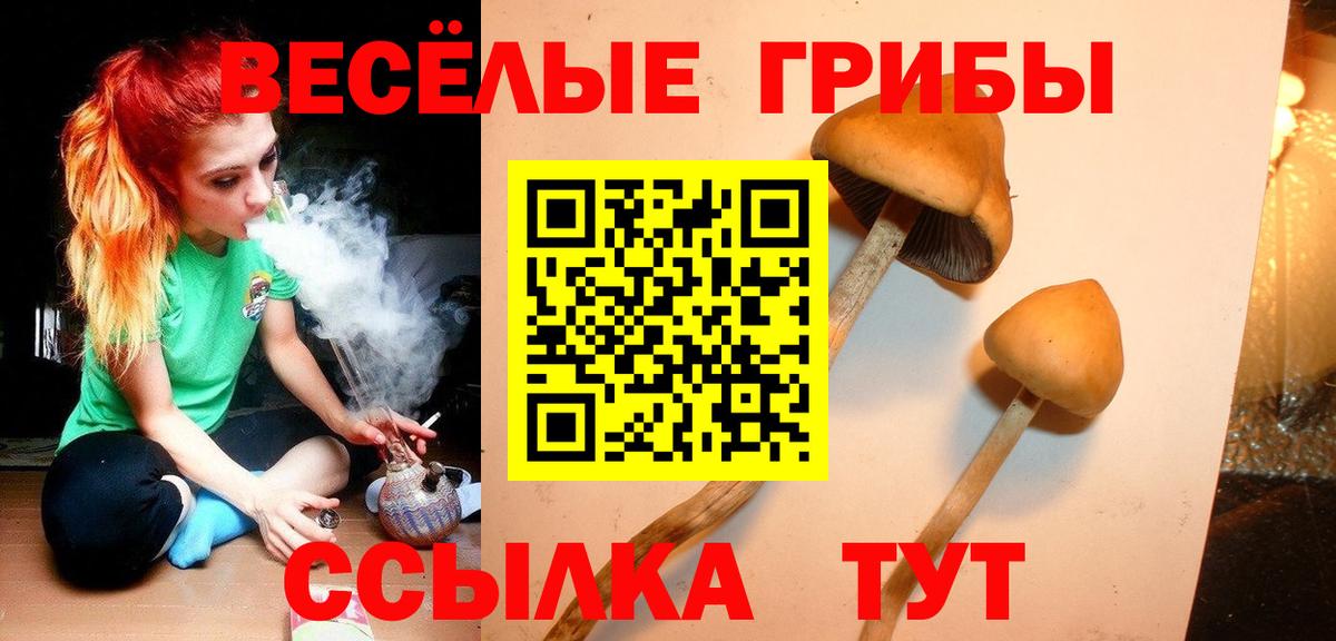 Нововоронеж  Псилоцибиновые грибы MAGIC MUSHROOMS  Вход с VPN 