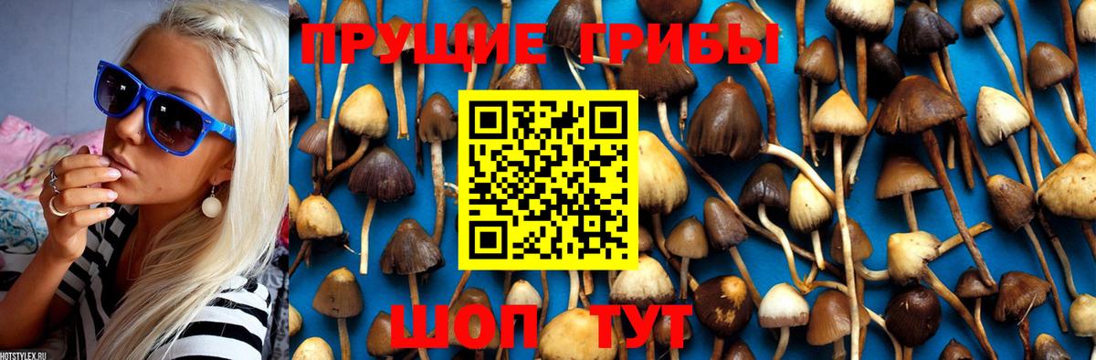 Псилоцибиновые грибы Magic Shrooms Нововоронеж